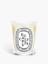 Eucalyptus - Classic Candle