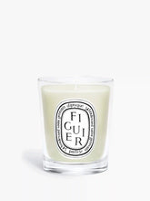 Figuier (Fig Tree) - Small Candle