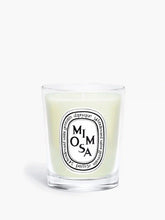 Mimosa - Small Candle