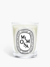 Mimosa - Classic Candle