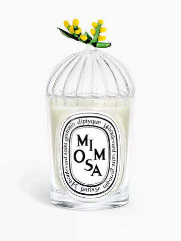 Mimosa Lid - For classic candles