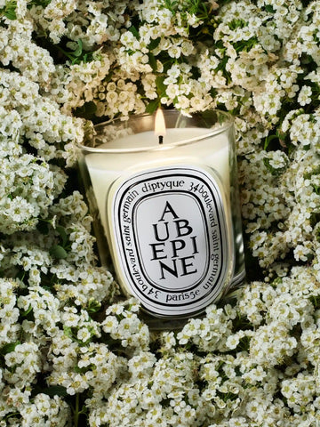 Aubépine (Hawthorn) - Classic Candle