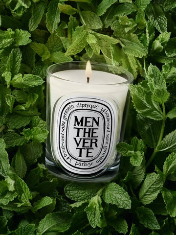 Menthe Verte (Spearmint) - Classic Candle