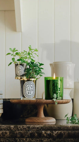 The Inseparables - Second-life Accessory for empty candle jar