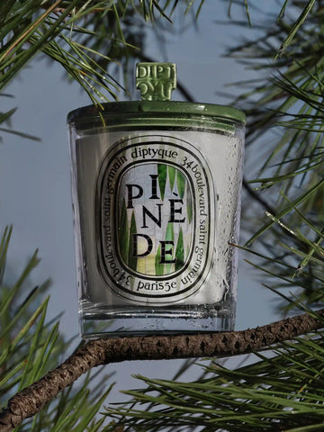 Pine Grove Green Pyramid Lid - For classic candles