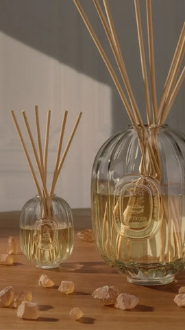 Ambre (Amber) - Refill for home fragrance reed diffuser