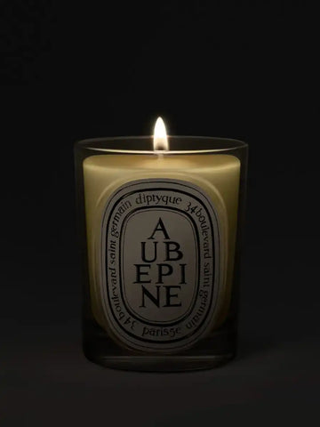 Aubépine (Hawthorn) - Classic Candle