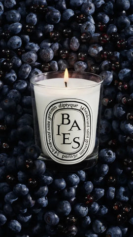Baies (Berries) - Small Candle - Gift