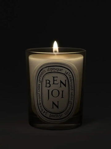 Benjoin (Benzoin) - Classic Candle