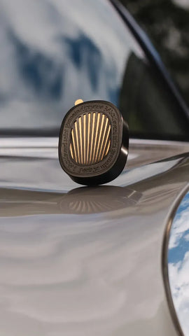 Mimosa - Car diffuser and insert