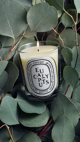 Eucalyptus - Classic Candle