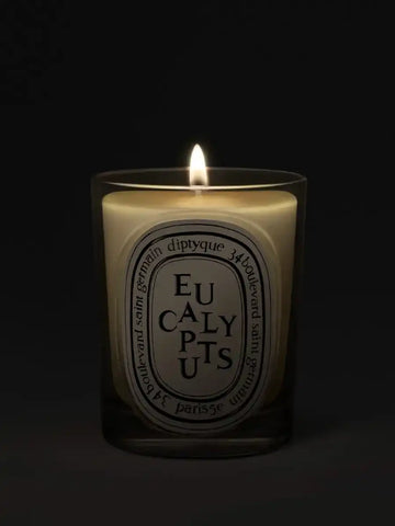 Eucalyptus - Classic Candle