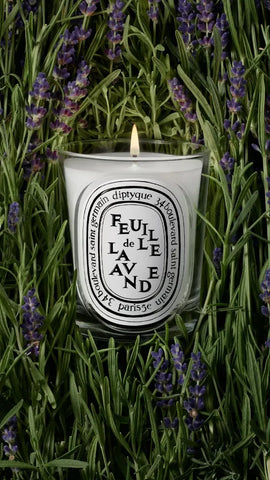 Feuille de Lavande (Lavender Leaf) - Classic Candle