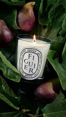 Figuier (Fig Tree) - Small Candle