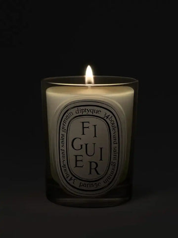 Figuier (Fig Tree) - Classic Candle