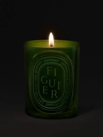 Figuier (Fig Tree) - Medium Candle