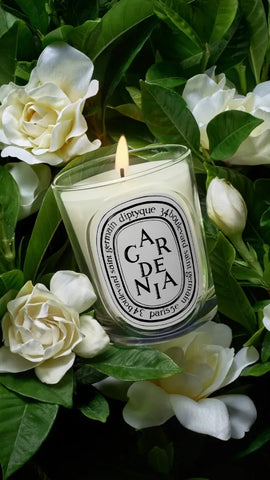 Gardenia - Classic Candle