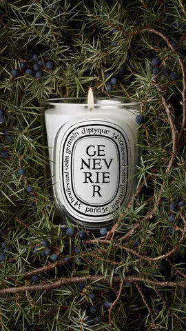Genévrier (Juniper) - Classic Candle