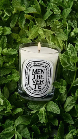 Menthe Verte (Spearmint) - Classic Candle