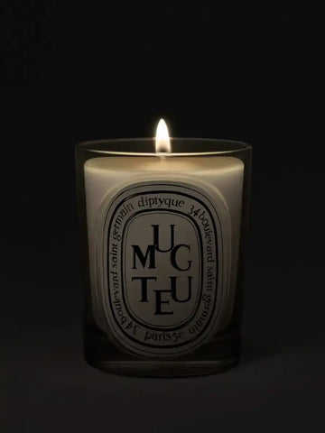 Muguet (Lily of the Valley) - Classic Candle