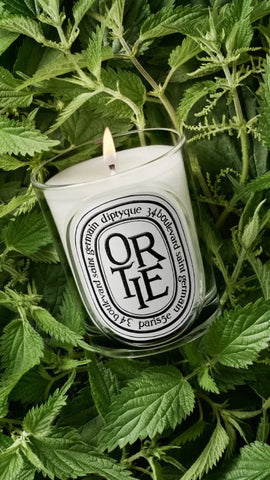 Ortie (Nettle) - Classic Candle