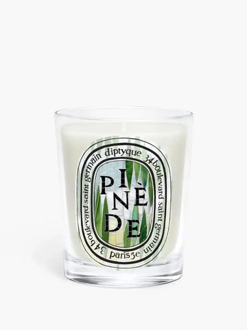 Pinède (Pine Grove) - Classic Candle