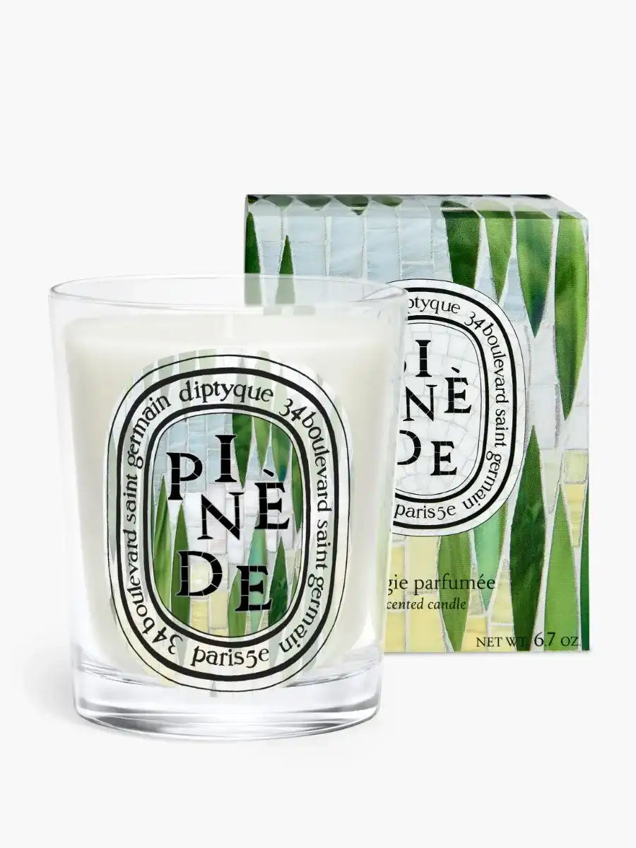 Pinède (Pine Grove) - Classic Candle
