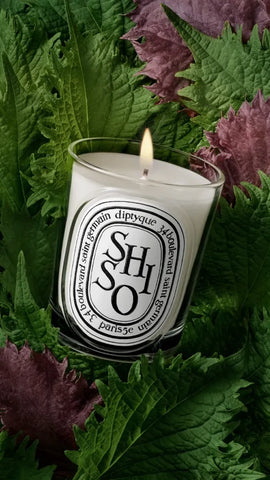 Shiso - Classic Candle
