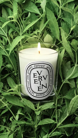 Verveine (Lemon Verbena Scented) - Small Candle