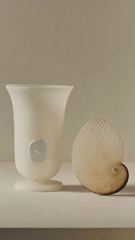 White Medicis vase - Large