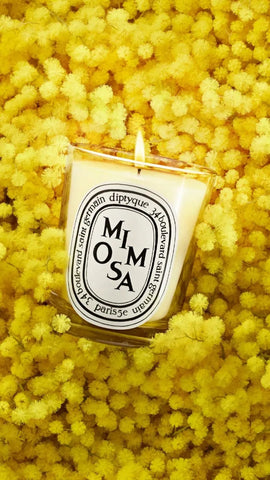 Mimosa - Small Candle