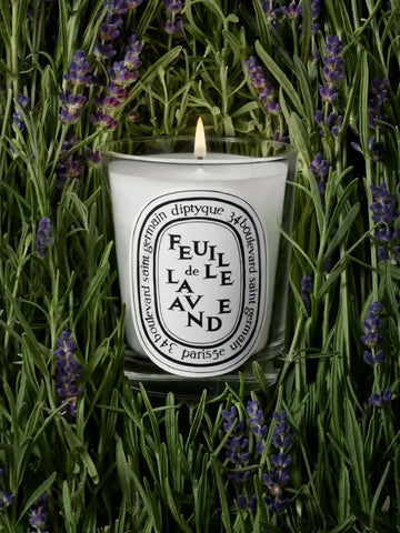 Feuille de Lavande (Lavender Leaf) - Small Candle
