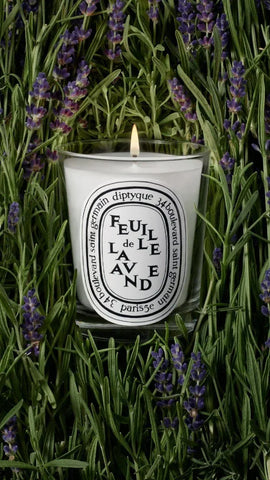 Feuille de Lavande (Lavender Leaf) - Small Candle