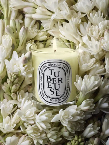Tubéreuse (Tuberose) - Small Candle