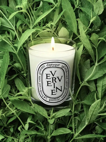 Verveine (Lemon Verbena Scented) - Small Candle