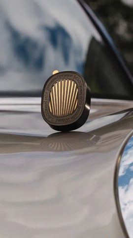 Baies (Berries) - Car diffuser and insert
